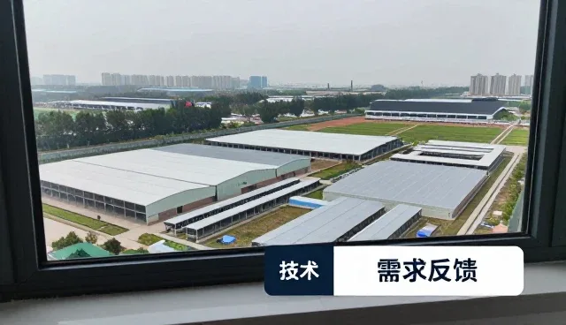 技术咨询选型中的关键考量要素