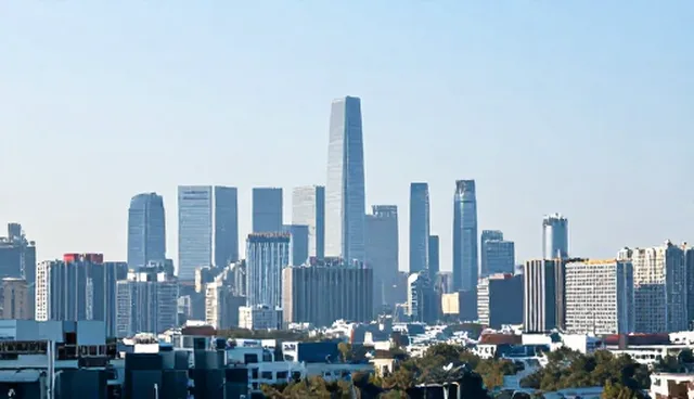 客户支持中的使用与维护问题解析